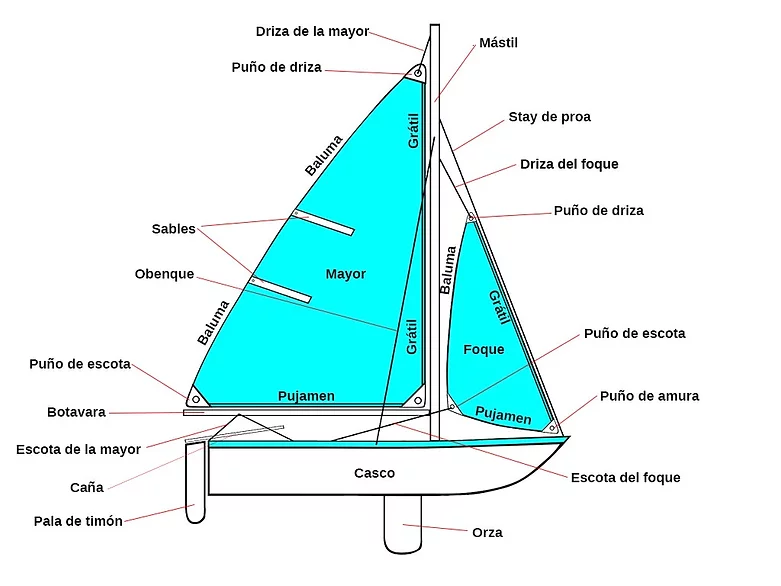 Partes de un raquero